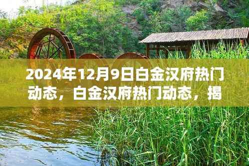 揭秘白金汉府未来建筑科技趋势与环保理念（独家报道，日期标注为2024年12月9日）