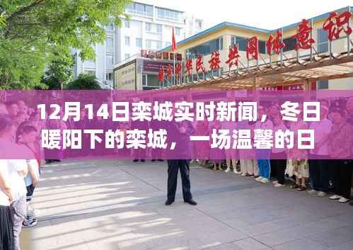 冬日暖阳下的栾城,实时新闻与日常温馨故事
