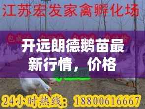 通宵达旦 第2页