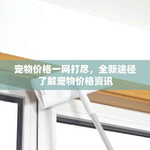 宠物价格一网打尽，全新途径了解宠物价格资讯