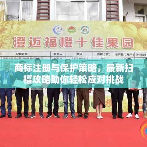 商标注册与保护策略,最新扫福攻略助你轻松应对挑战