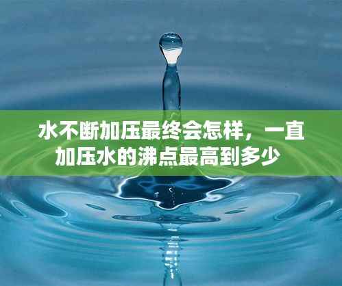 飞扬拨扈