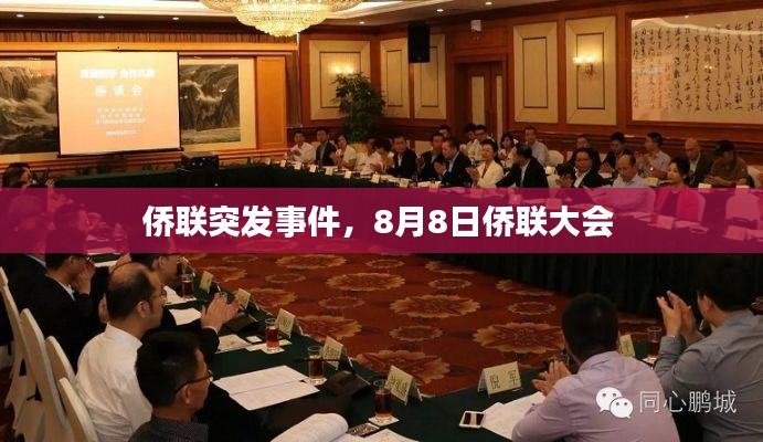 侨联突发事件,8月8日侨联大会